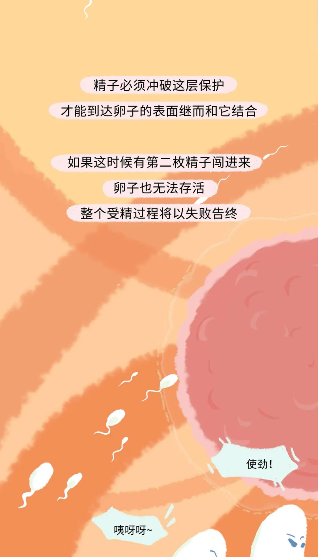 精子进入女生体内的全过程曝光！不要再傻傻不清楚