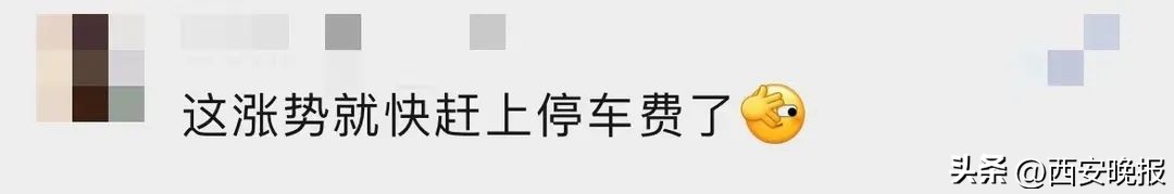 突然价格猛涨网友感叹高攀不起,价格大跌网友懵了一下亏了好几万
