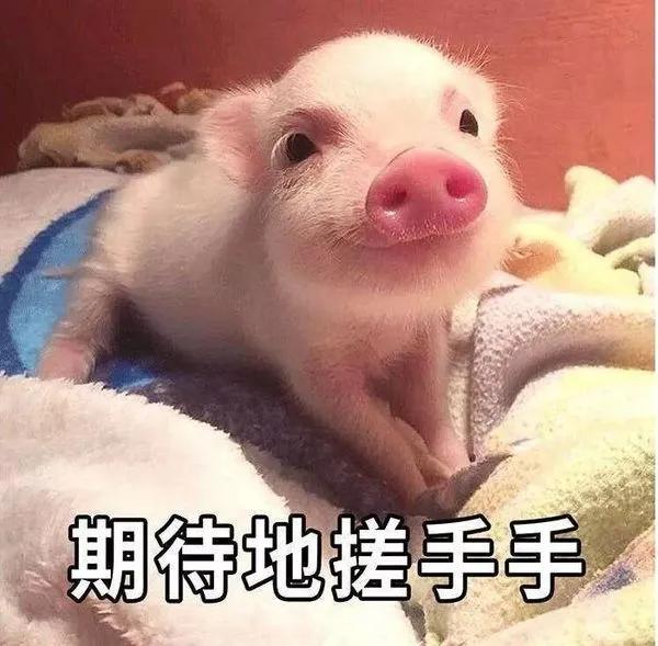 代购心路历程,一个代购的心路历程