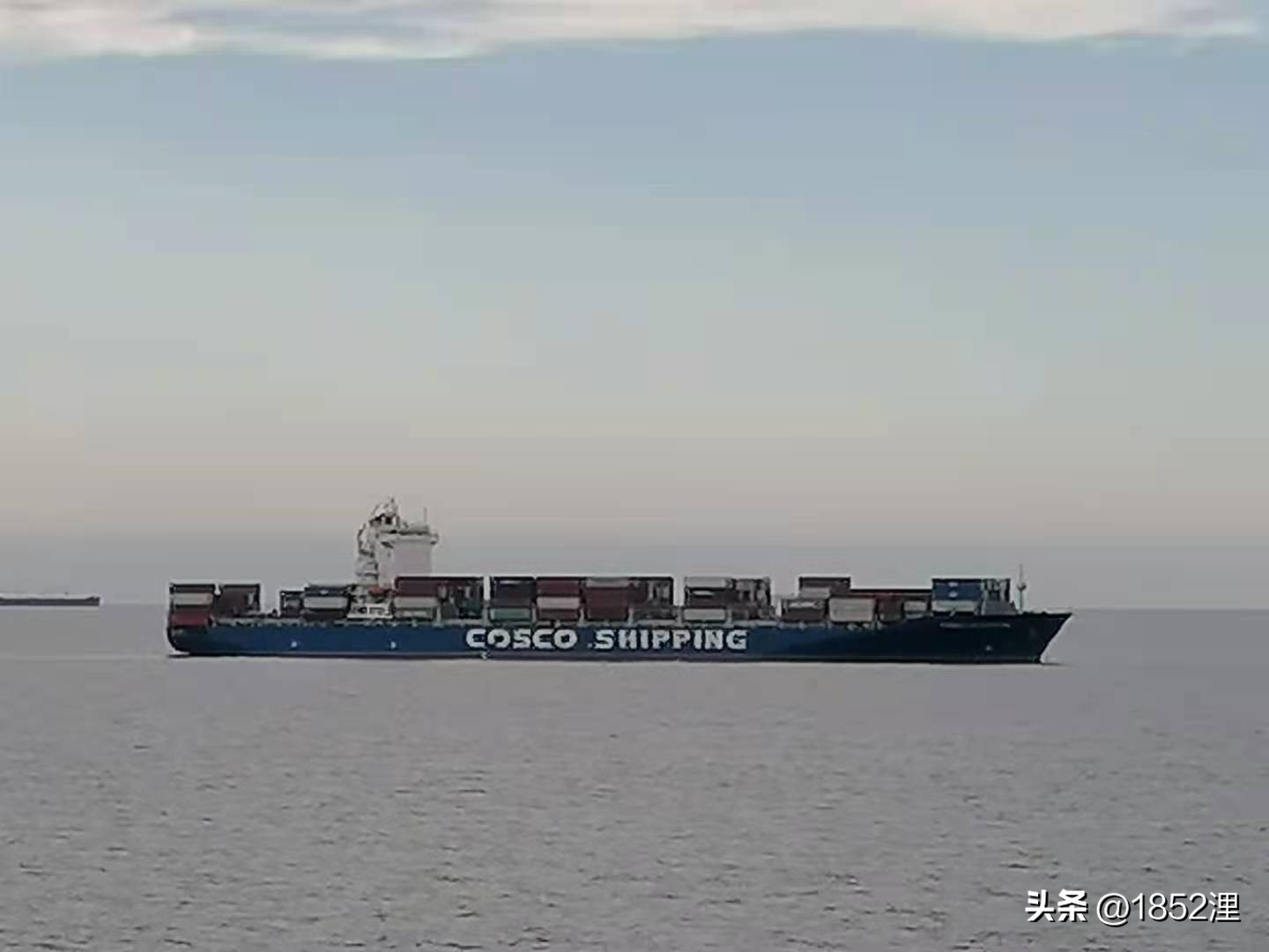 航运引航员,高级船舶引航员