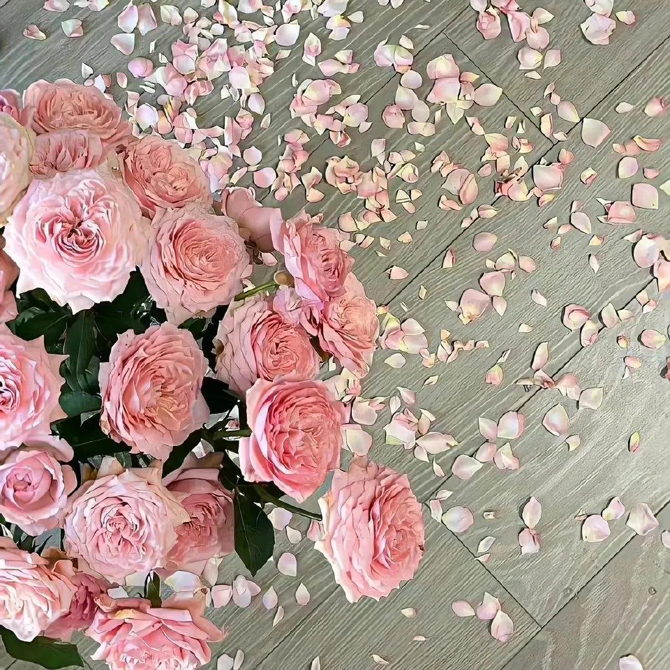 没事早点睡有空多挣钱背景图,多挣钱少生气的背景图