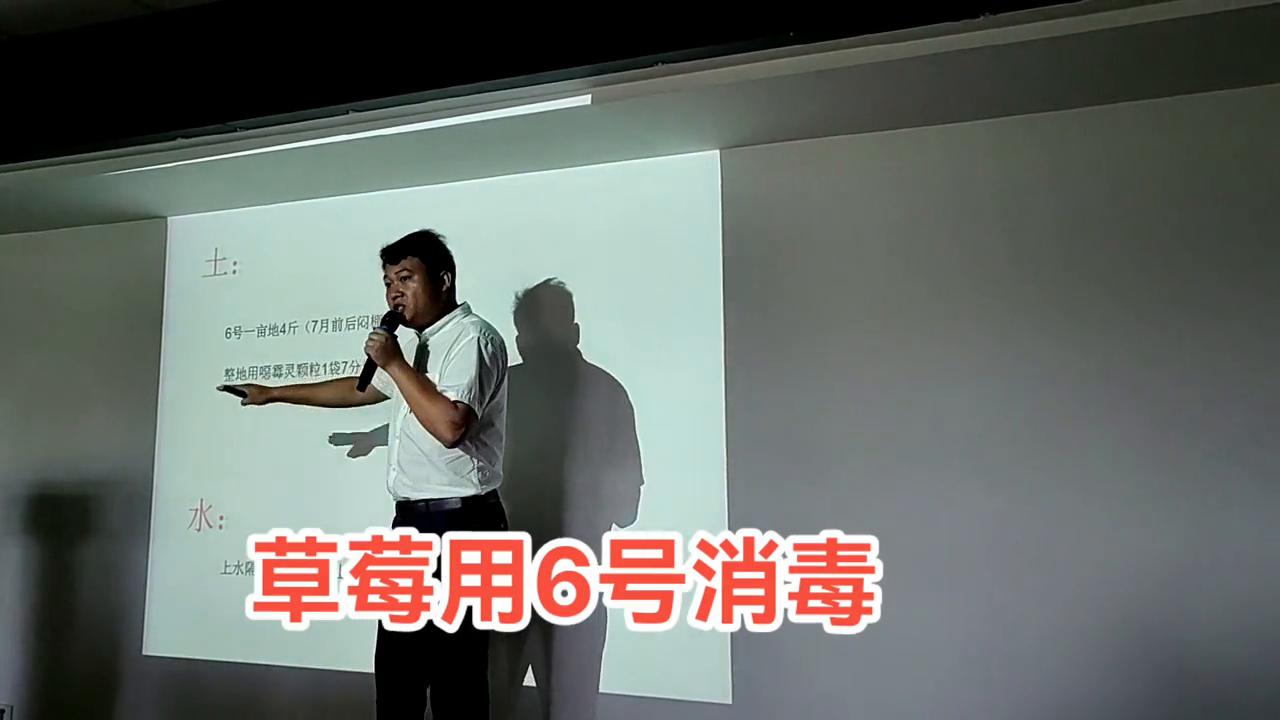 草莓病虫害专用药,草莓表面可以用75%酒精消毒吗