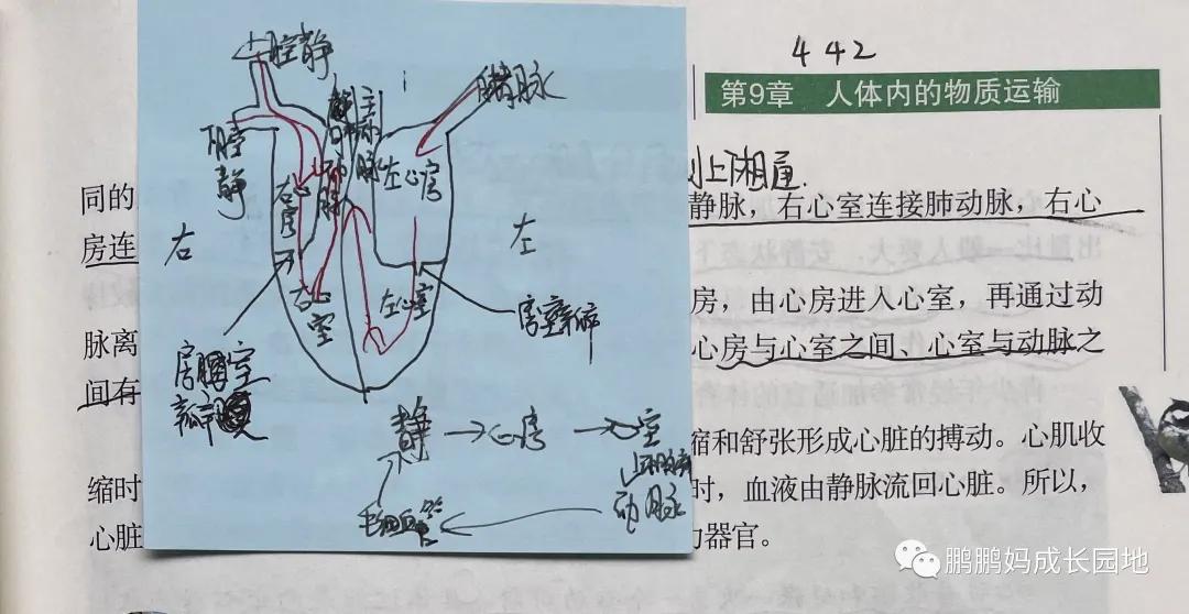 孩子特别用功成绩就是差怎么回事,孩子学习很用功但成绩差怎么疏导