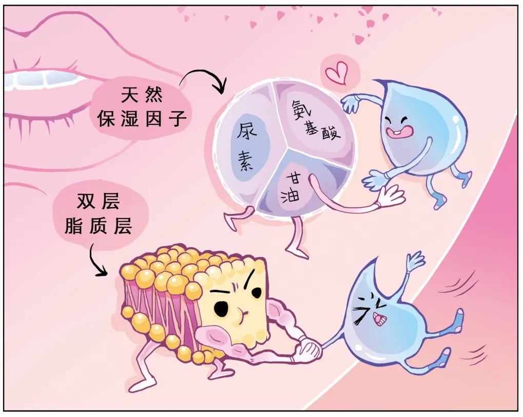 扒一扒10个最容易搞错的护肤知识,护肤抗衰不走弯路