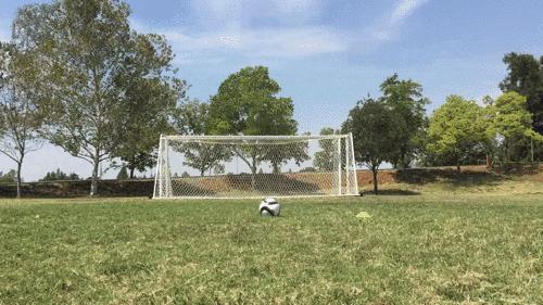 拉梅拉插花脚世界最佳，陈涛插花脚一顿狂骂！中国足球路在何方？