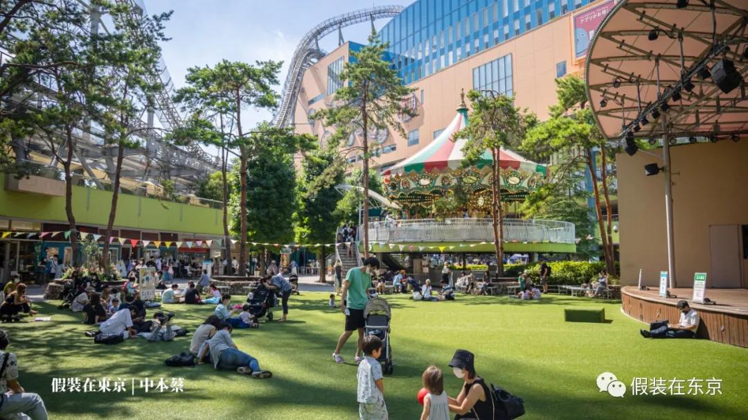 365张照片回顾,365张相片