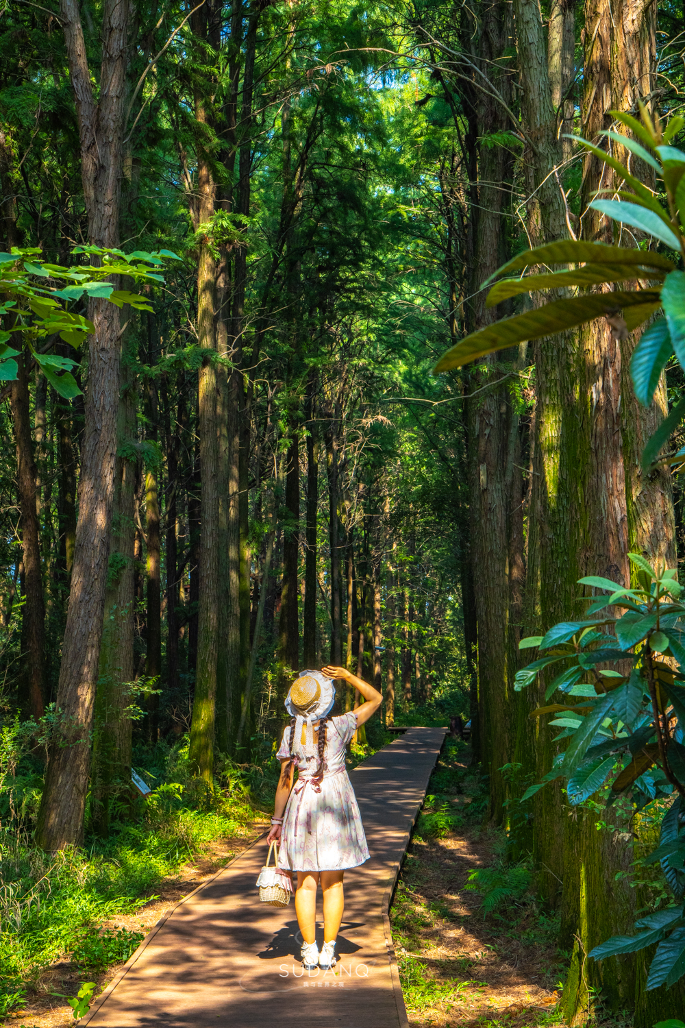 苏州各县到底有多强,苏州究竟有多强