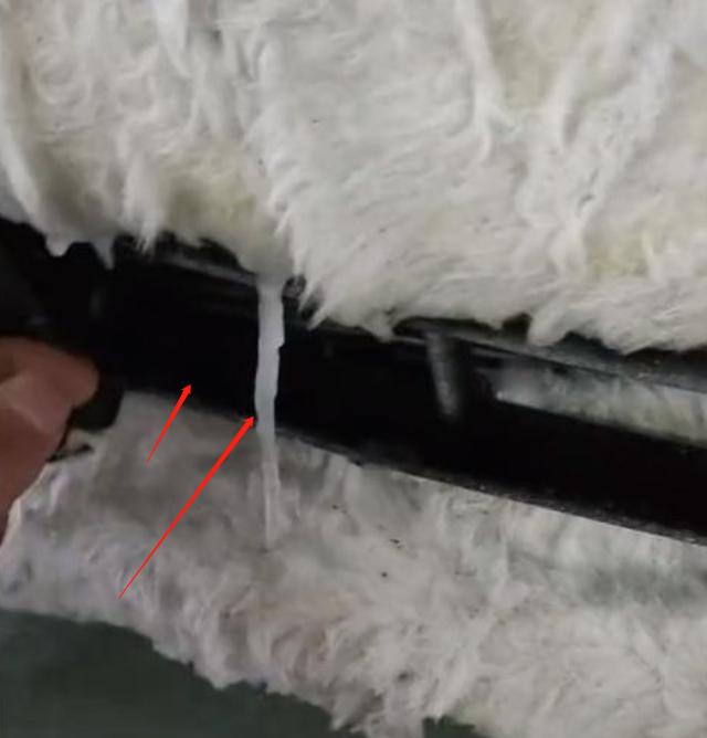 不敢洗车？吉林男子改造貂皮福特，洗一次至少亏3万