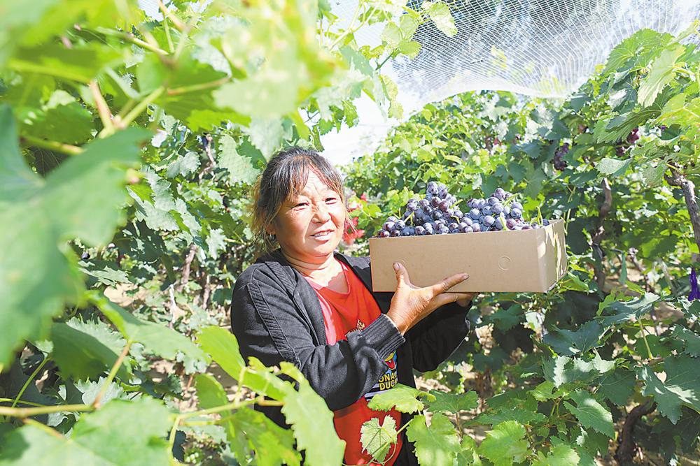 产业发展乡村振兴文案,谋发展促发展保发展