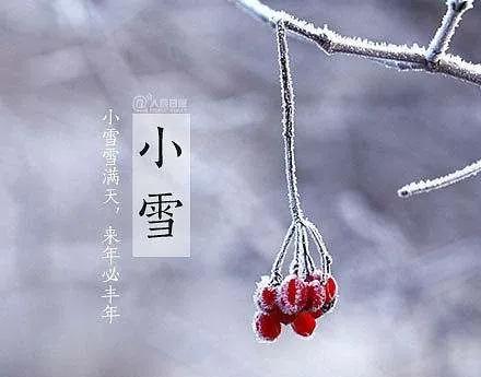 女性的卵泡在哪里,卵泡长什么样算好的卵泡