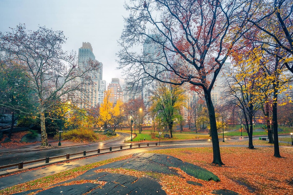 准备一张完美的简历吧