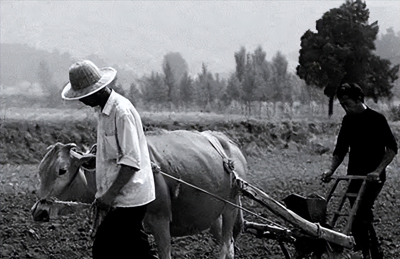 山东女子效仿武则天,山东女子效仿武则天完整视频