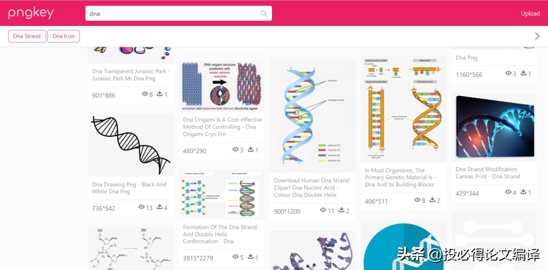 sci论文插图经典配色,sci中插图素材库