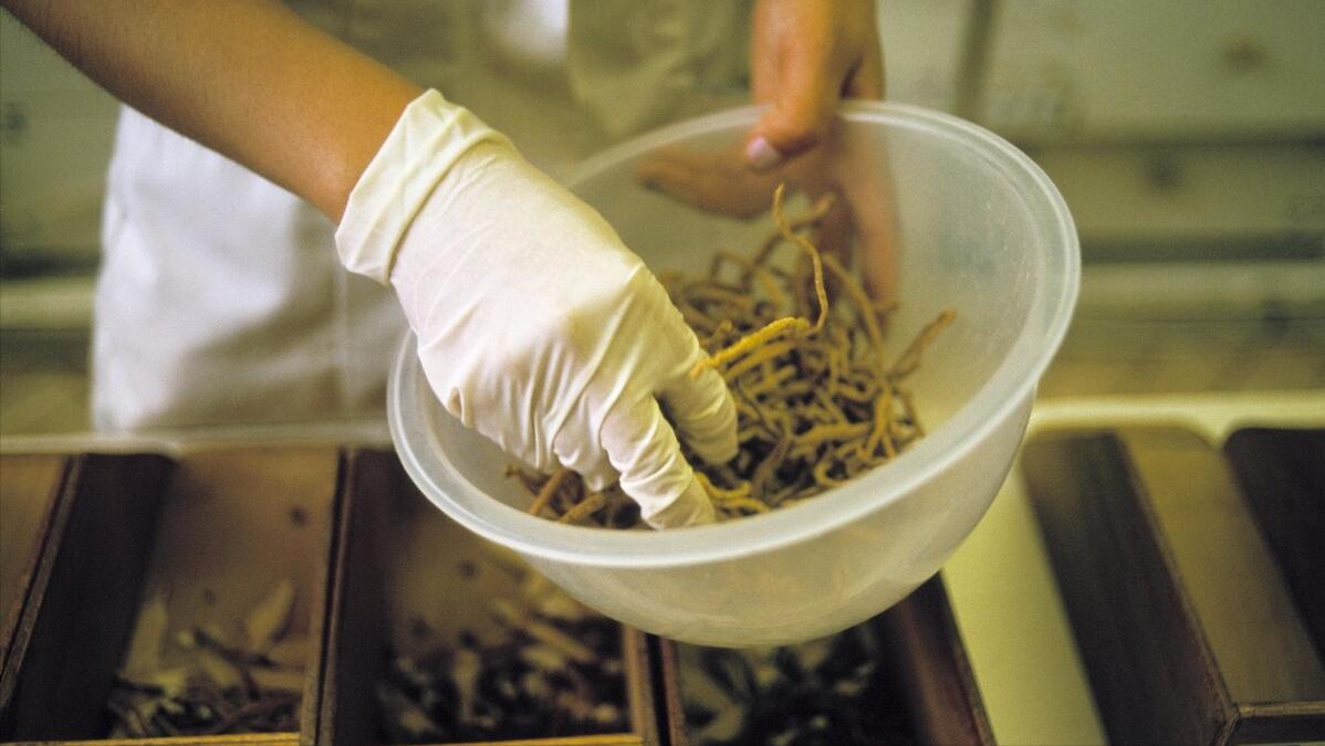 中医治疗子宫内膜增厚的药方,中医治好子宫内膜异位的案例