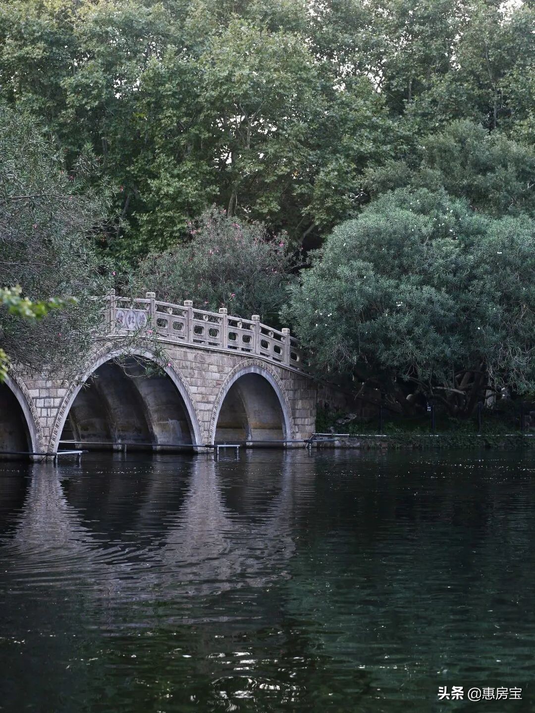 上海公园免费,上海免费公园排行