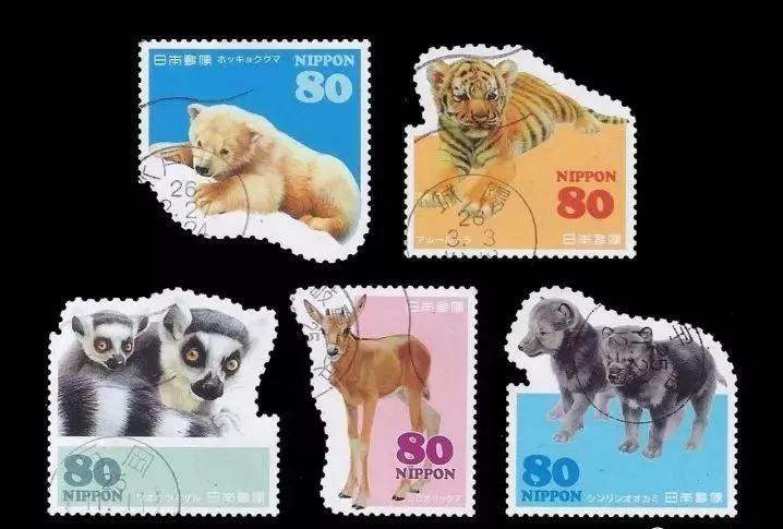 汤加是个啥国家,汤加是个什么样的国家