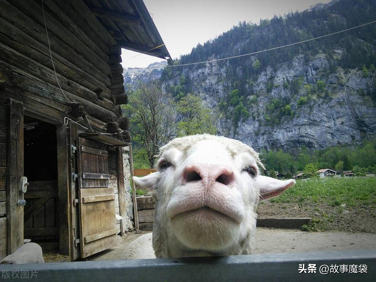 任老四创业史,任老四