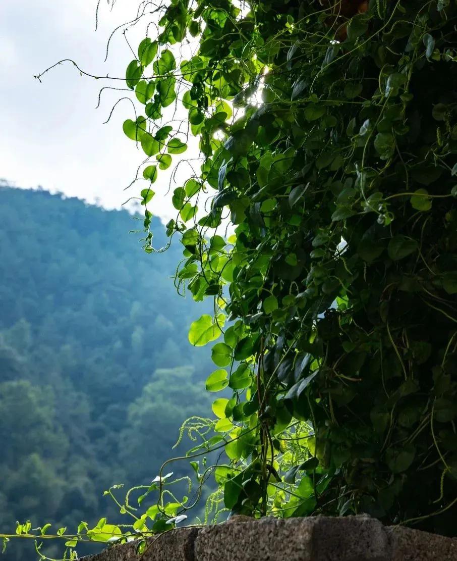 何必去苏杭,福州附近最值得去的古村