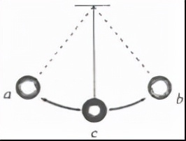 2021菏泽中考物理试题,菏泽一模二类卷物理