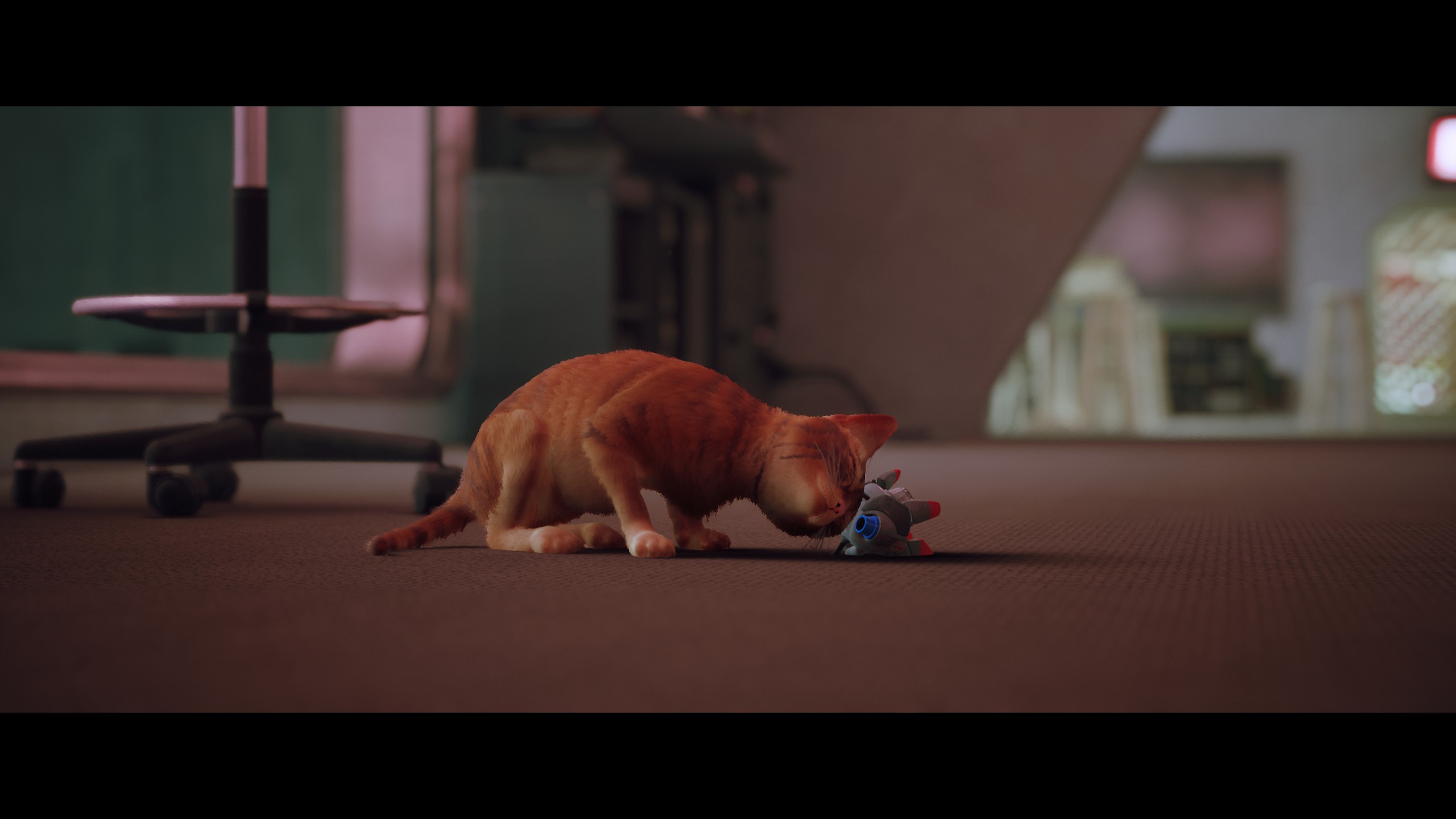 stray新游戏,stray这个游戏怎么样