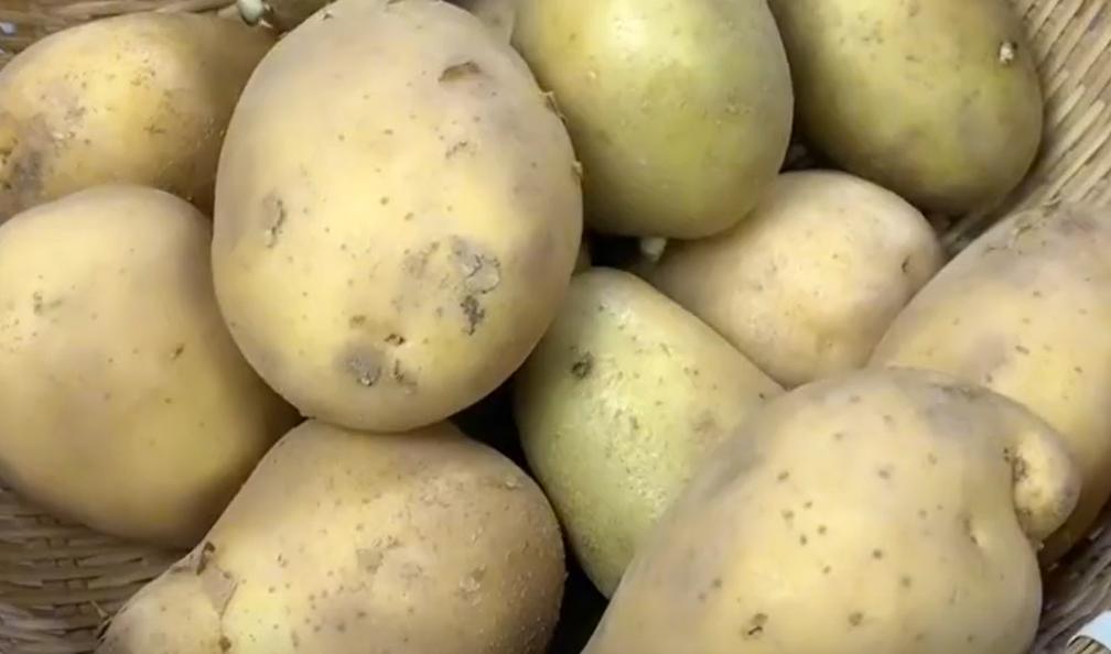 最掉秤的食物,减肥掉秤最快的食物是什么