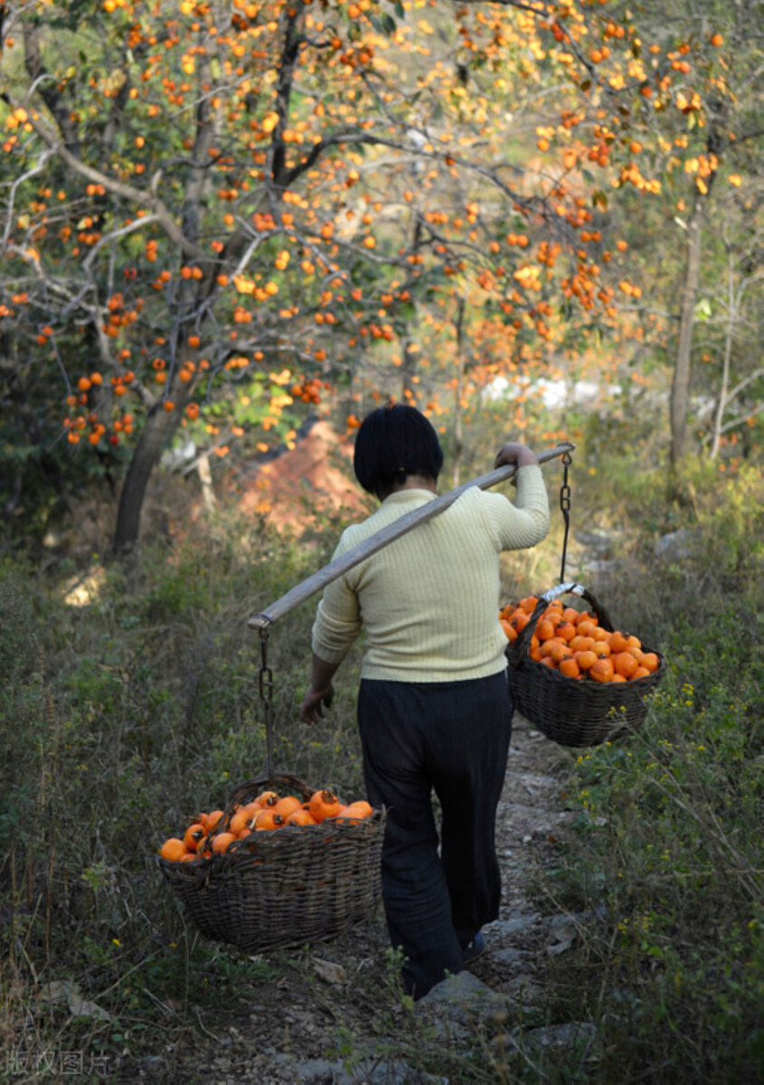 走进桂林阳朔山水,走进桂林深处