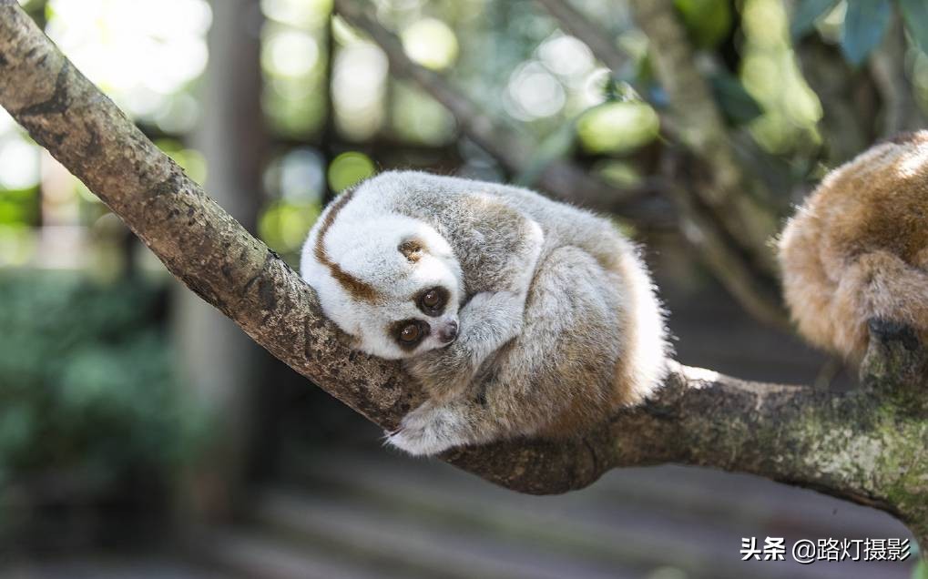 中国五大最值得旅游的景点,值得去的中国七大旅行景点