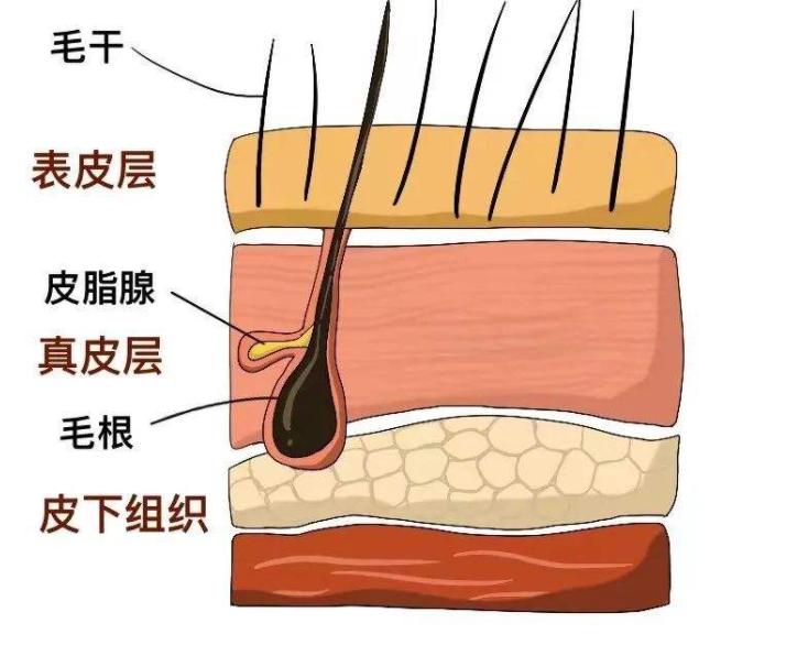 沙发发质如何从小改善,沙发发质怎么能顺滑一点