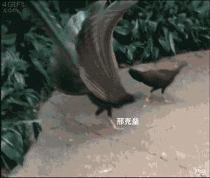 外卖差评快乐源泉,外卖差评内容全是好评