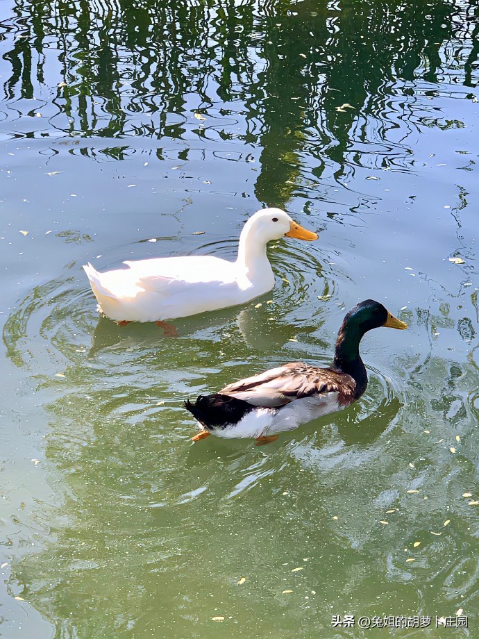 如何让你喜欢的男生反撩你,如何让你喜欢的男生回复消息