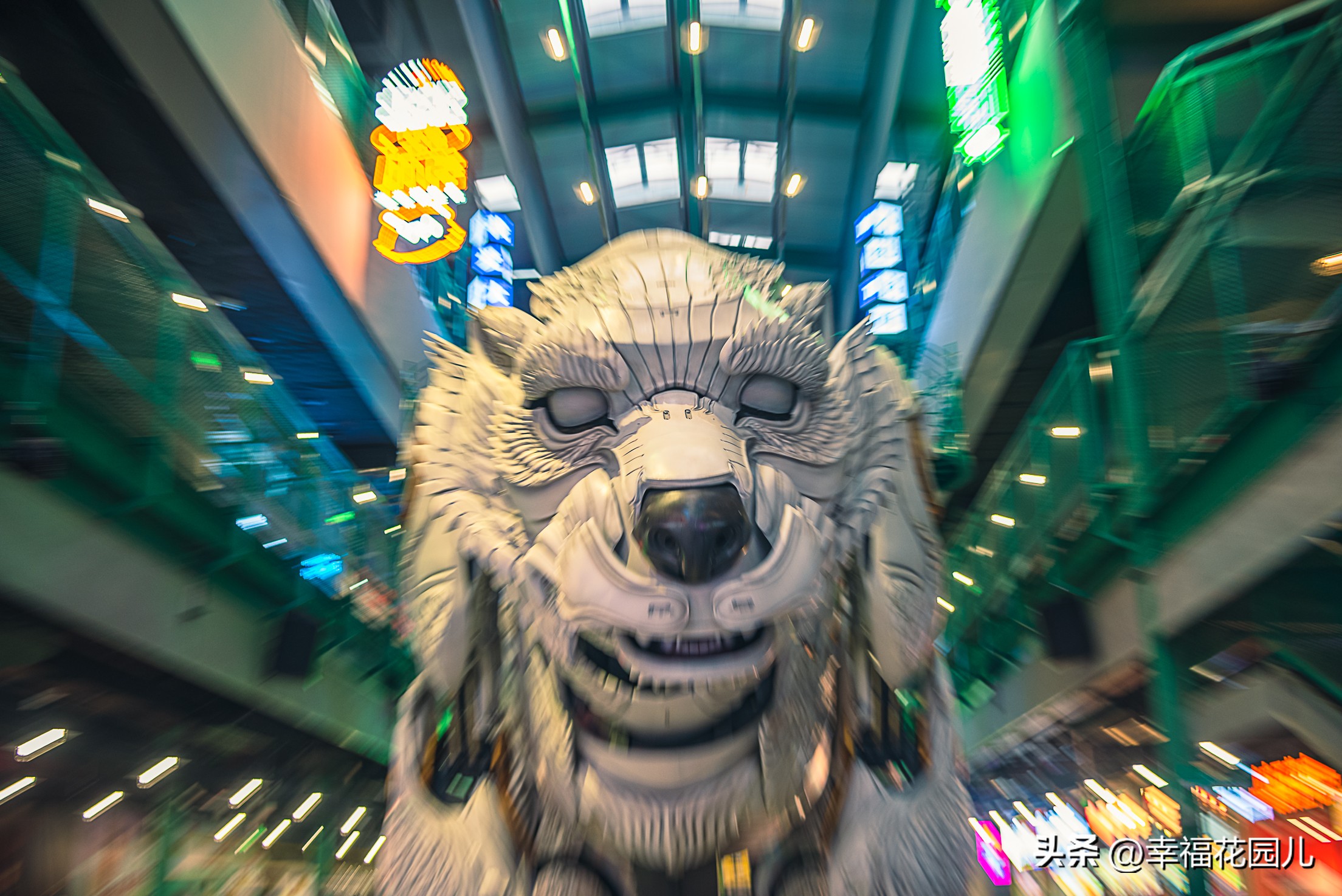 去大连不踩坑的几个景点,大连过年免费景点大全