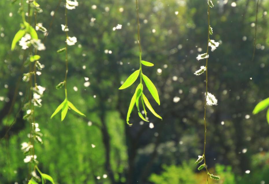 中国历史上最凄凉的六首诗,古今最有名的十首诗排名