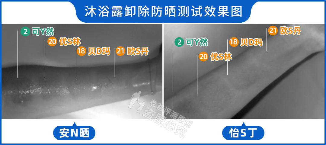 真人实测17款身体乳,沐浴乳测评真实推荐