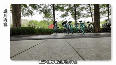 手机拍短片,很有创意的一个短片