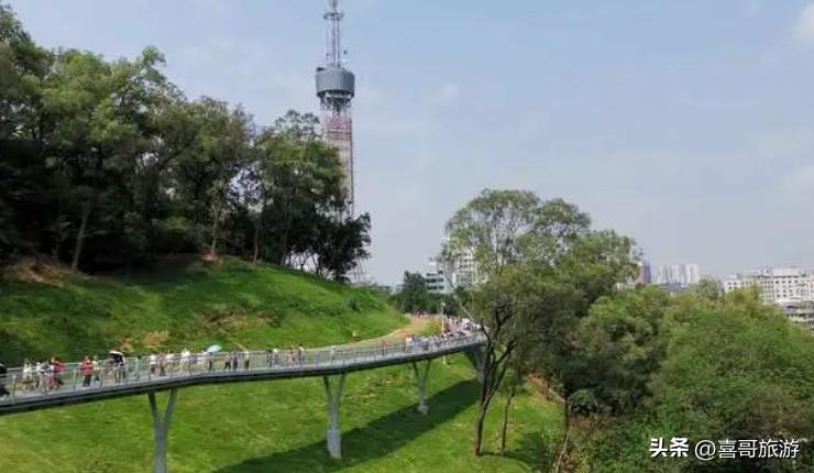 河南白云山景区旅游攻略,白云山旅游攻略梅花谷