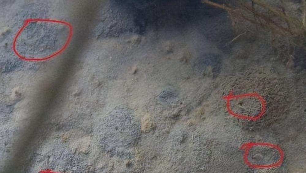 臭水沟捞黄金,臭水沟赚上亿