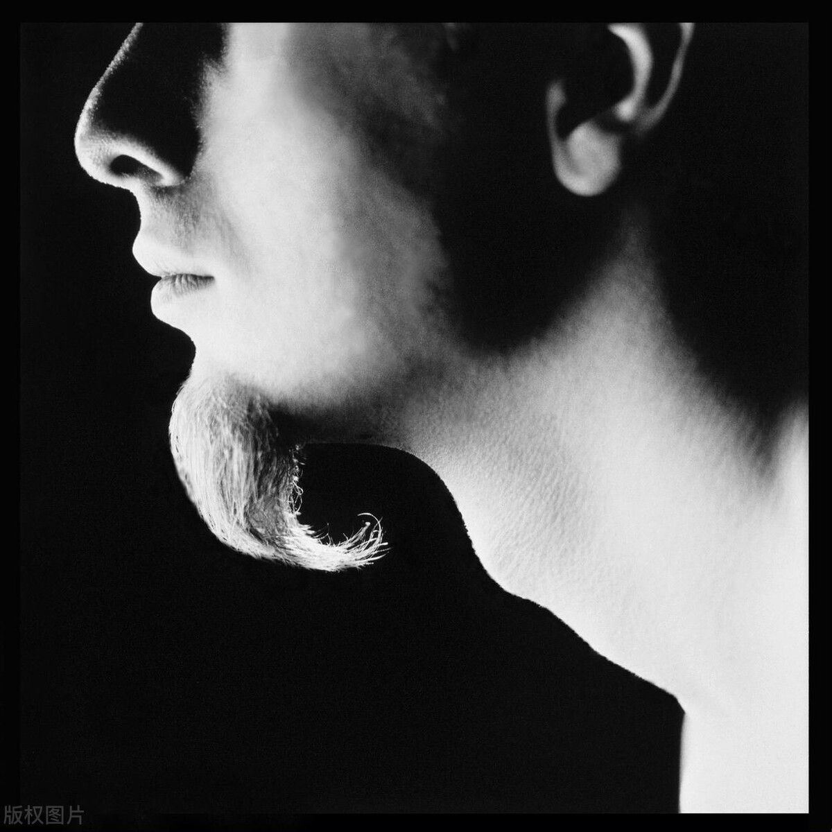 摩羯座不同生肖性格特点,十二星座摩羯座最配哪个生肖