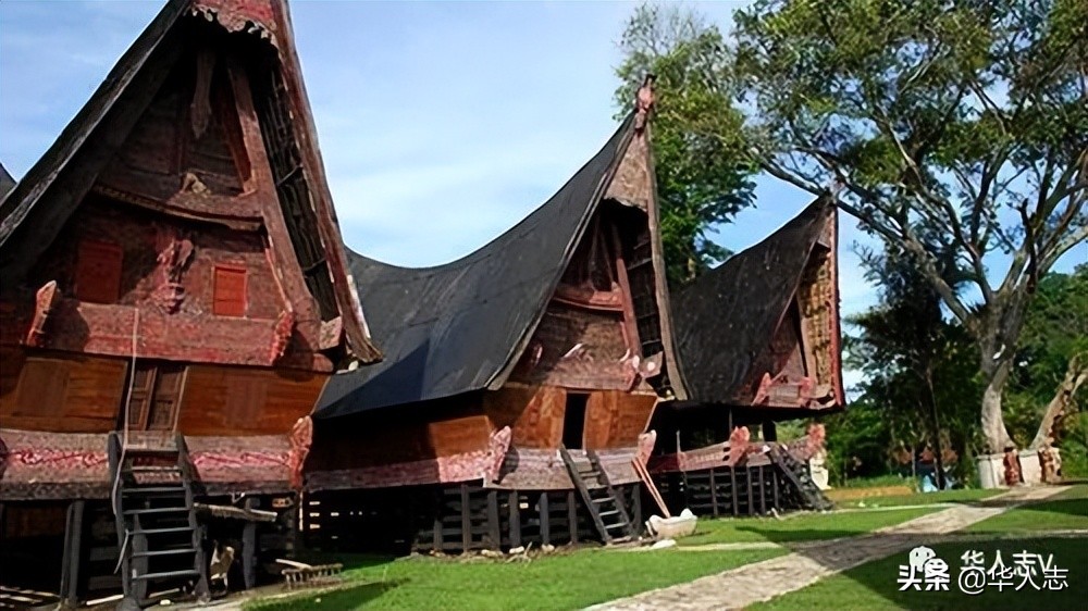 云南虫谷灵异故事,云南虫谷中的十大怪物