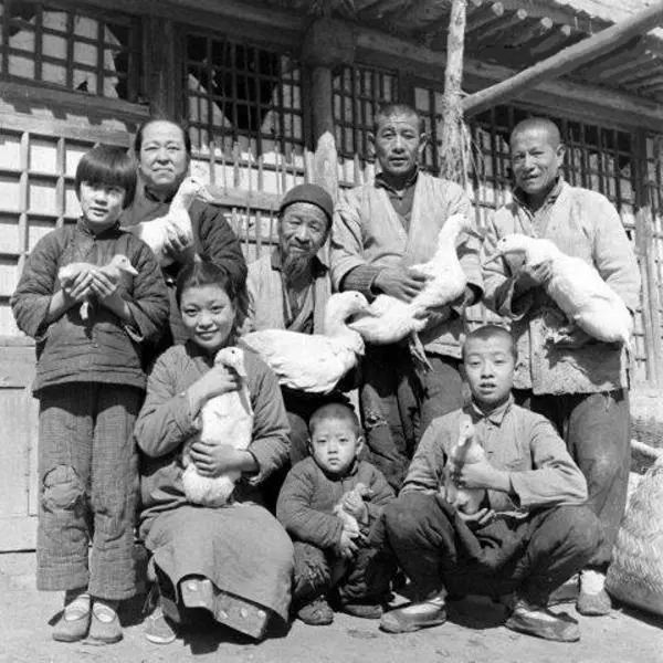 鐧鹃笩楦ｆ槬楂樻竻鍥剧墖,鐧鹃笩楦ｆ槬椋庢櫙瑙嗛