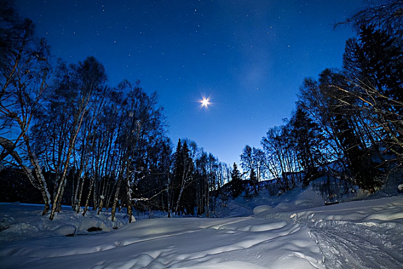 巨蟒为报恩守护十几年,96年海南巨蟒