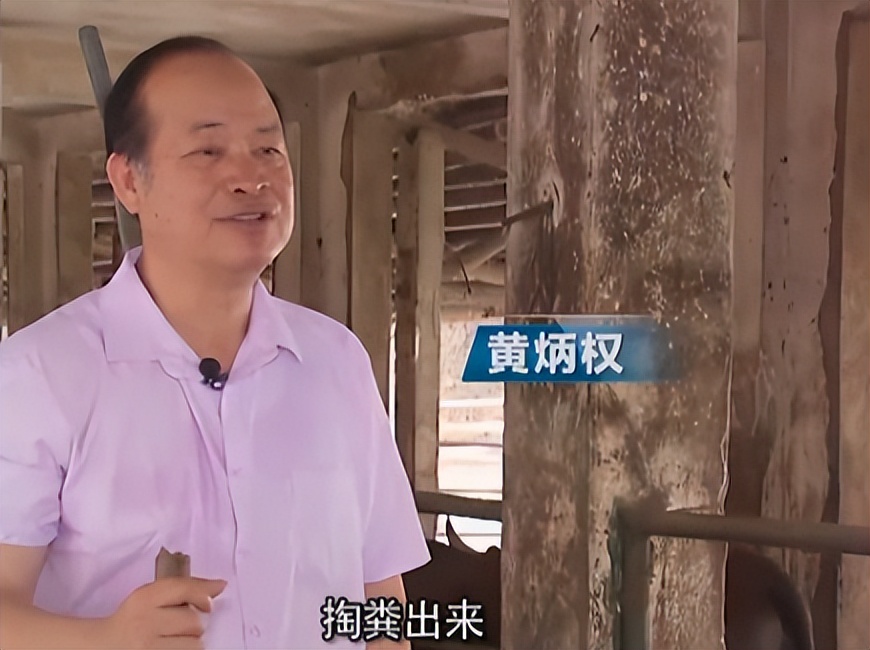 大叔养牛变废为宝,秸秆变废为宝养牛