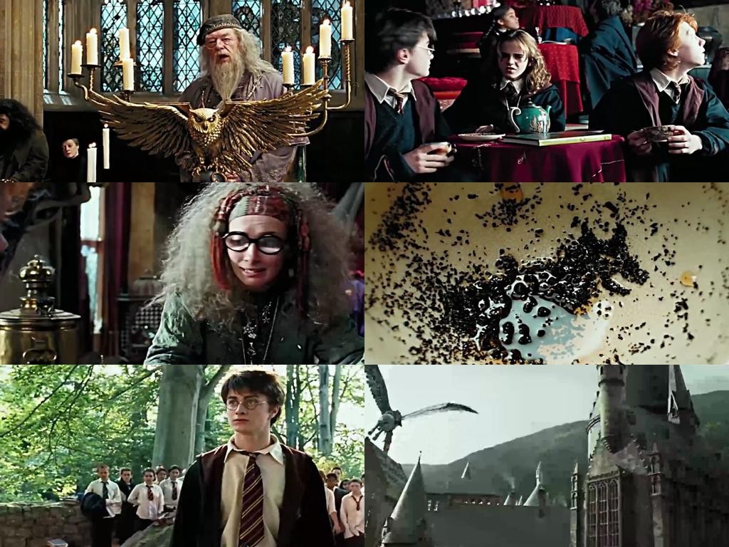 重温哈利波特六,一分钟了解七部哈利波特