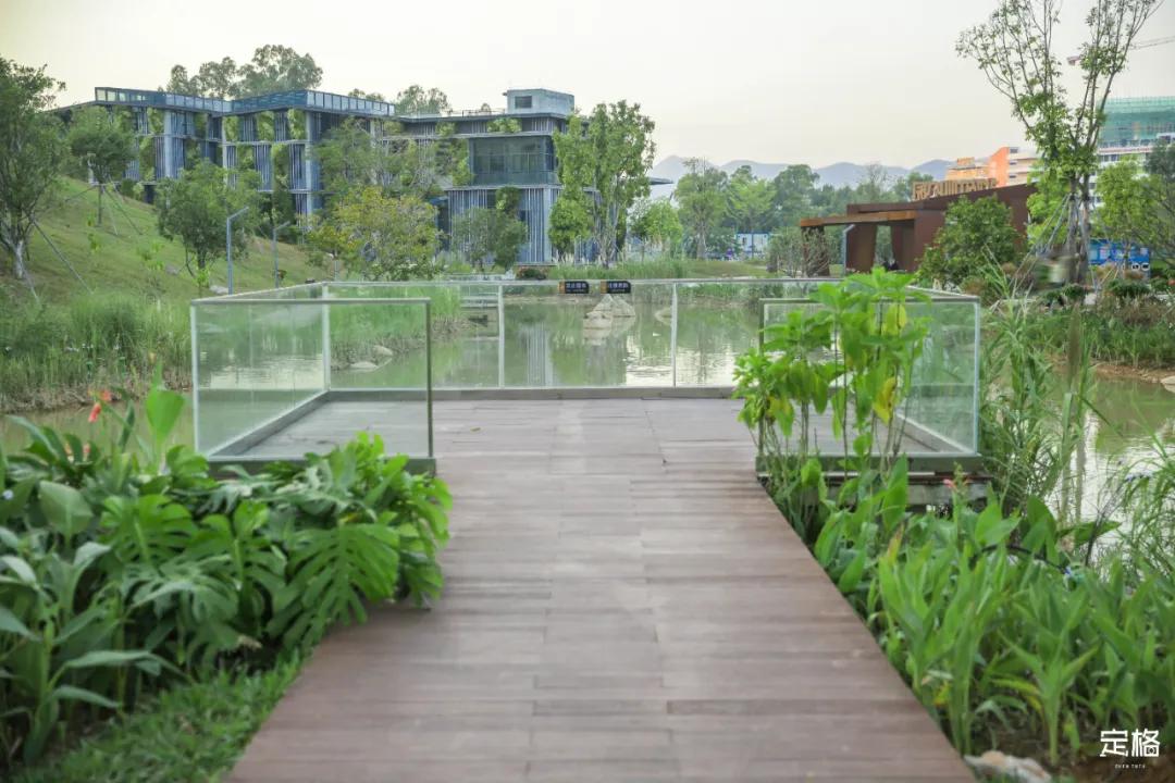 深圳户外公园最大滑滑梯,深圳滑滑梯免费南山公园附近