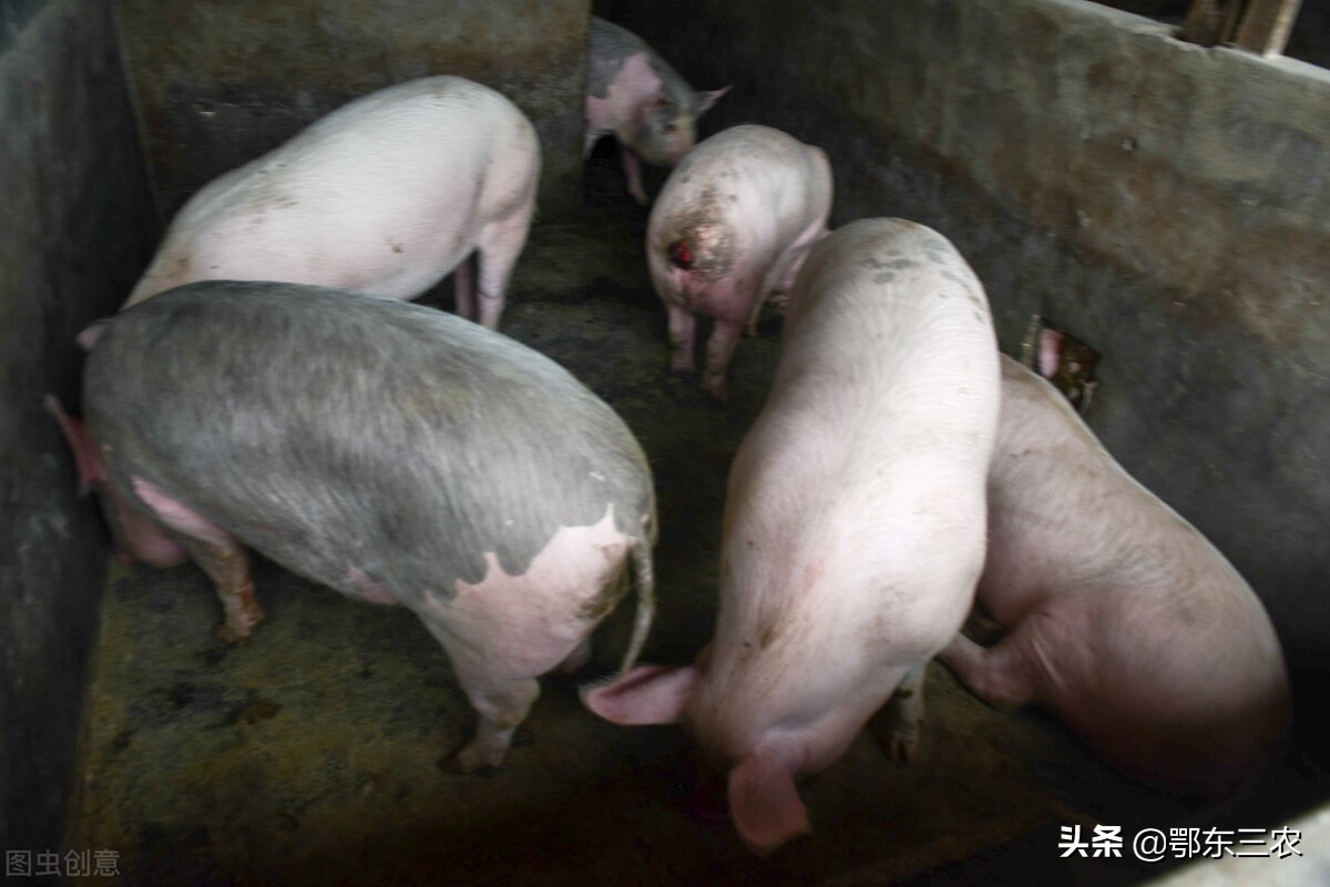 农民工停工回乡,停工4个月农民工返乡