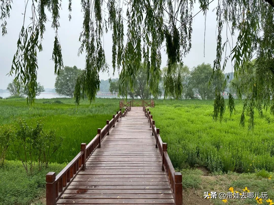 可搭帐篷公园,可以骑车搭帐篷的公园