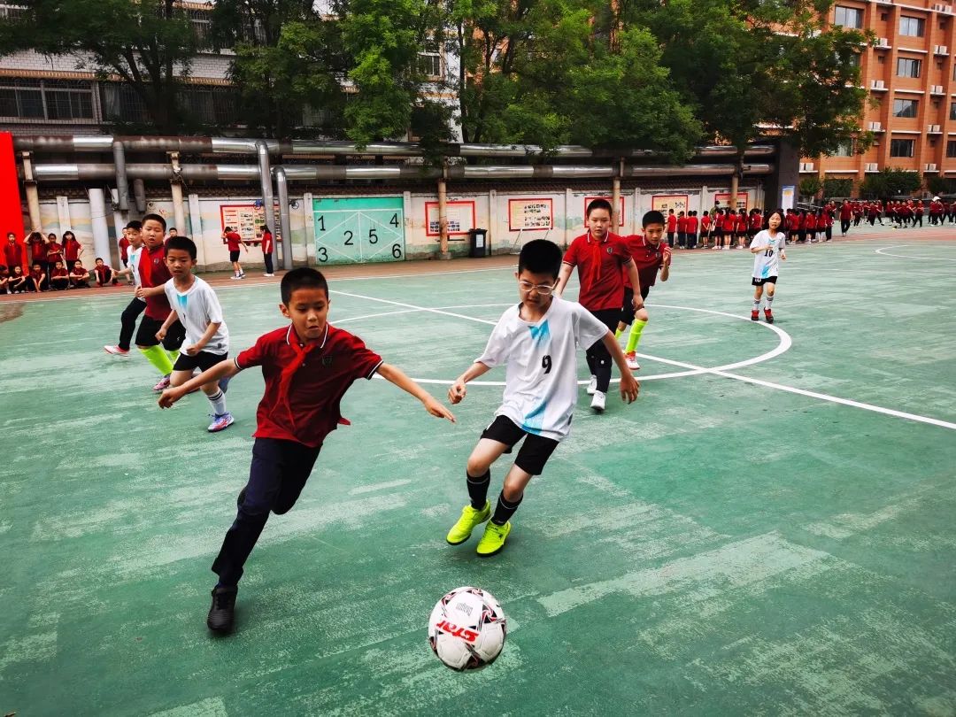 五育并举驰而不息,五育并举筑梦前行