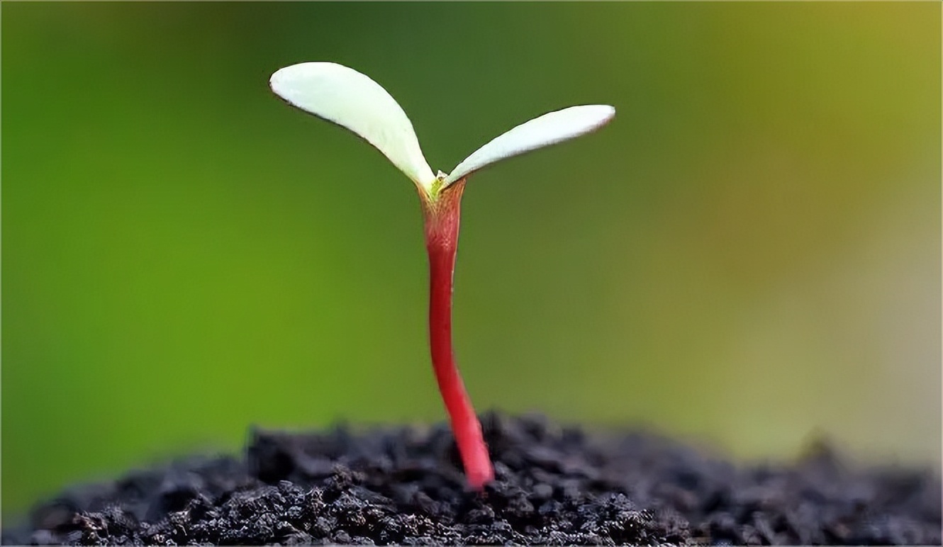 ai技术对职业的冲击,ai技术对社会的好坏