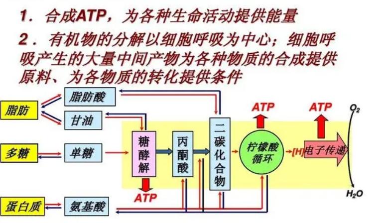 脱除有机硫为什么要用高压法,脱硫去除氯离子的办法