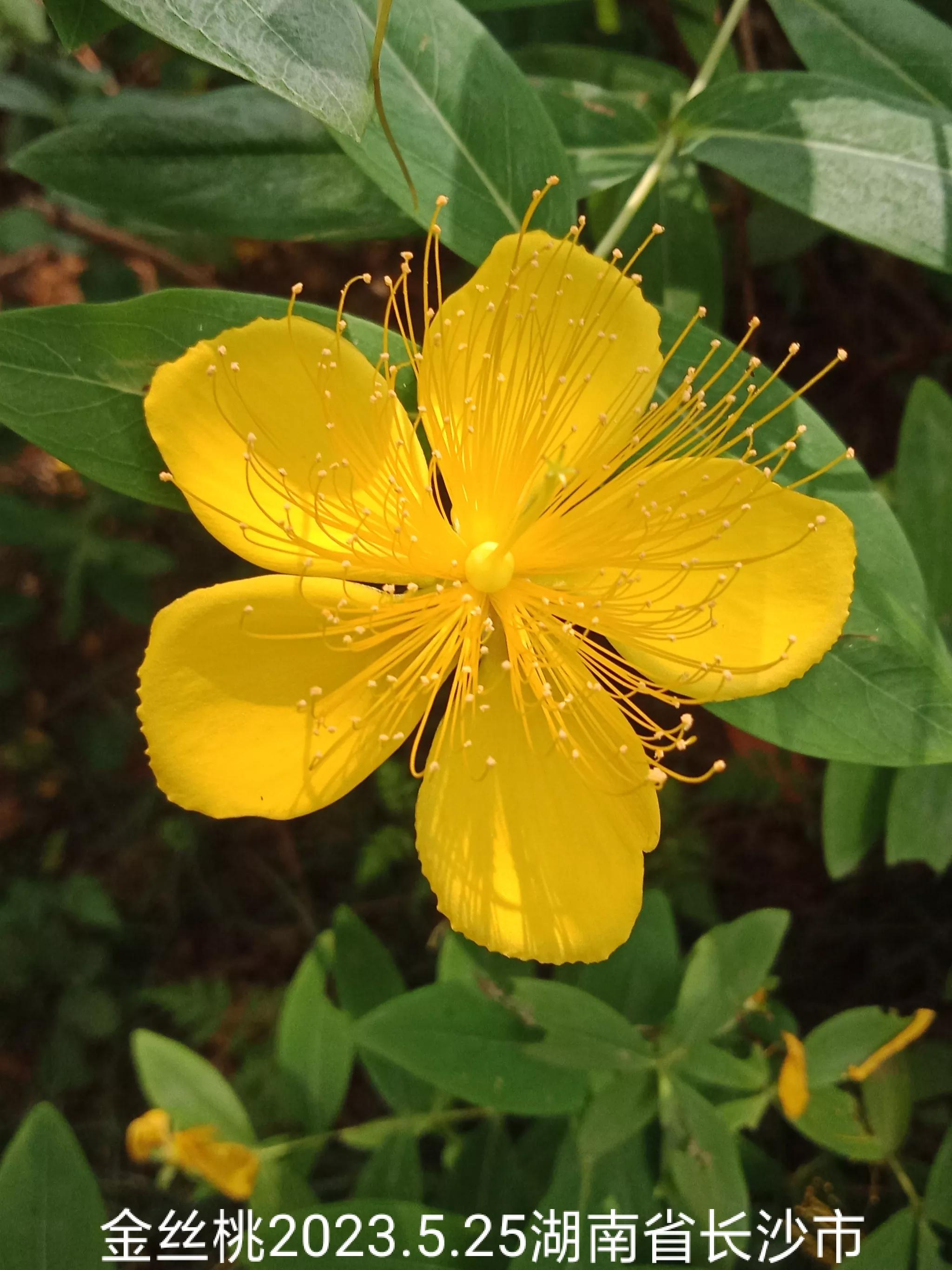 怎么找回没保存丢失的微信群,怎么找回没有保存的微信群