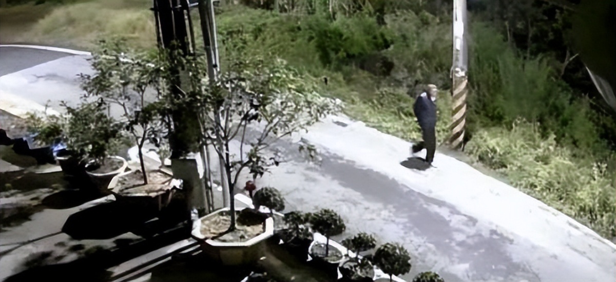 狗狗半夜狂吠被斥责，隔天回放视频感动，妈妈错怪你们了！